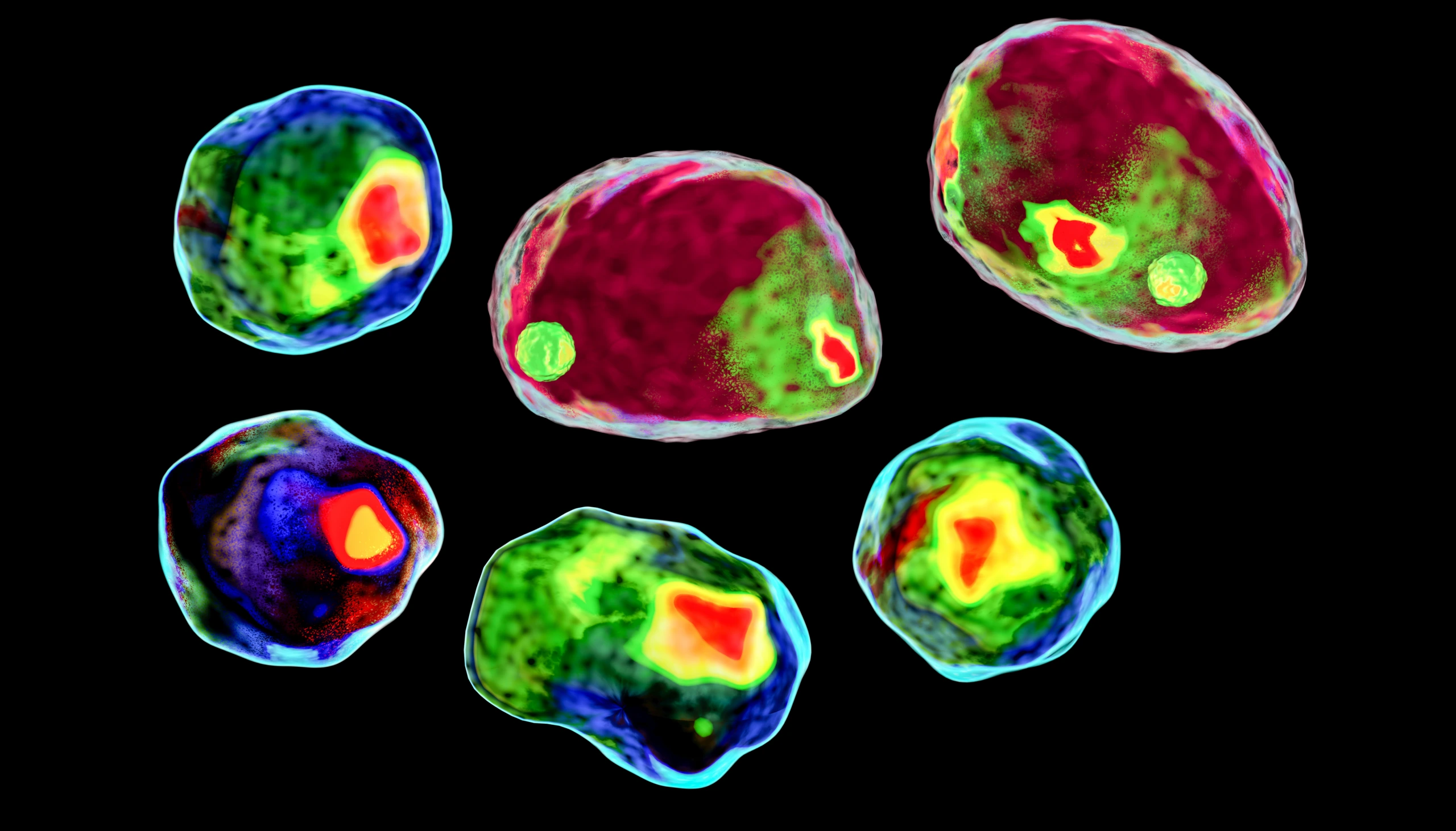 Human,Cell,,Colored,In,A,New,Diagnostic,Technique,,Imaging,Flow