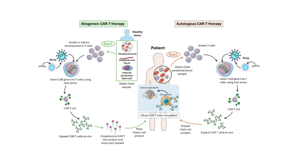 Steps-for-Production-of-Autologous-vs.-Allogeneic-CAR-T-Cell-Therapies