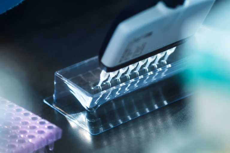 Close up of multichannel pipette positioned above a transparent laboratory well plate A