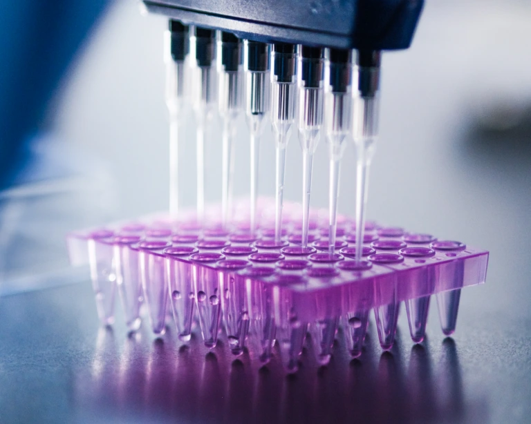 Close up of multichannel pipette positioned above a transparent laboratory well plate B