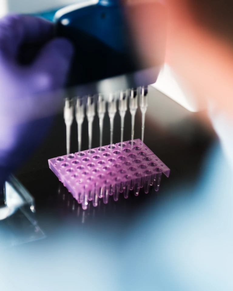 Close up of multichannel pipette positioned above a transparent laboratory well plate B