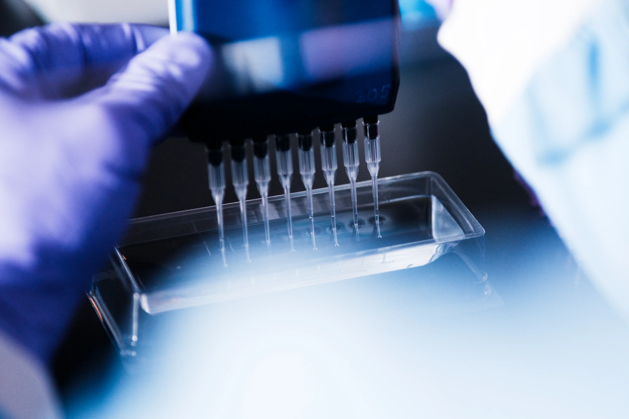 Close up of multichannel pipette positioned above a transparent laboratory well plate C