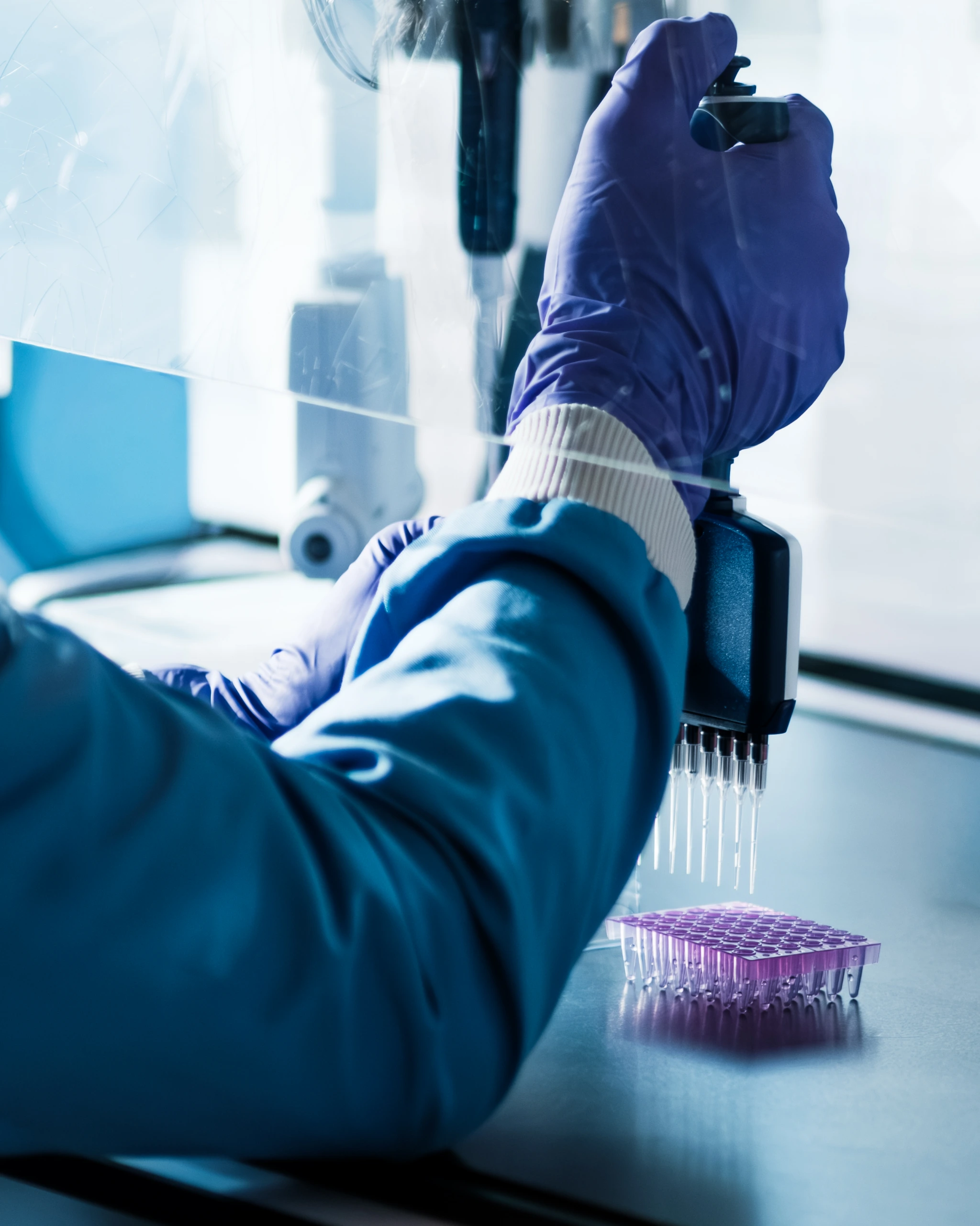 Close-up of gloved hands operating a multichannel pipette above sample tubes A