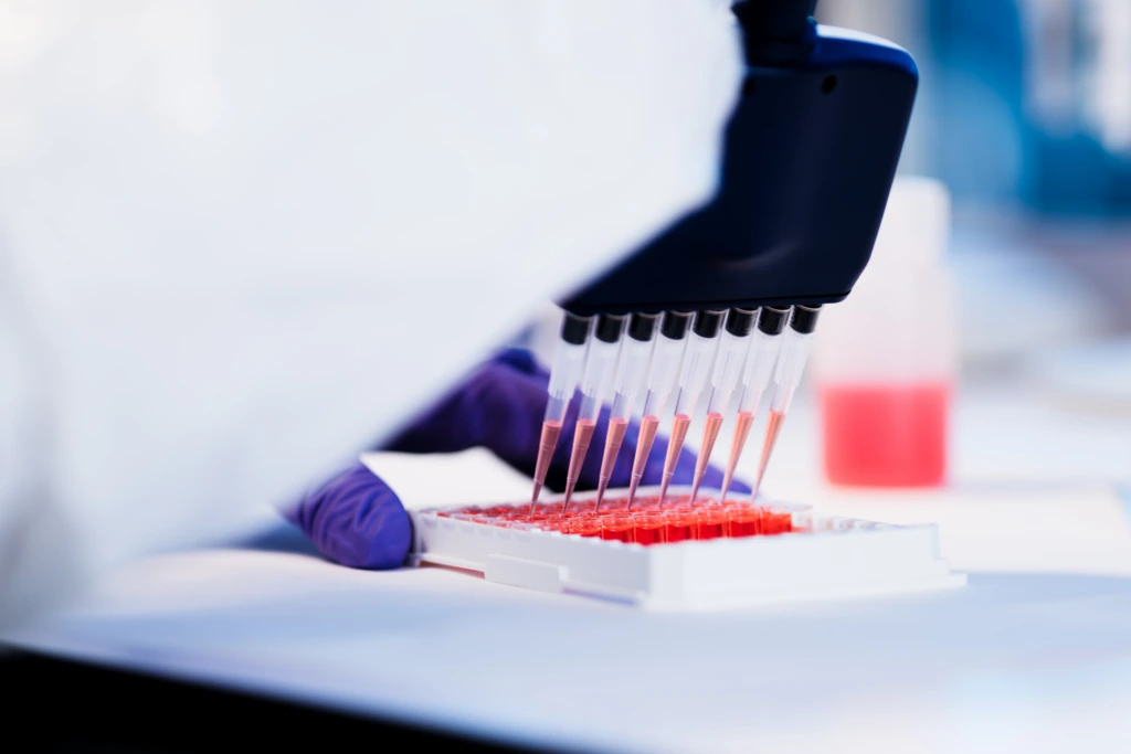 Close up of multichannel pipette dispensing red liquid samples