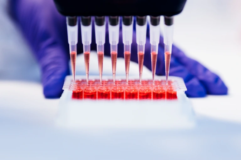 Extremem close-up of pipette tips over microplate