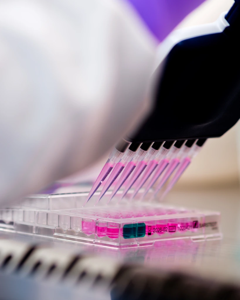 Close up of multichannel pipette dispensing into microplate