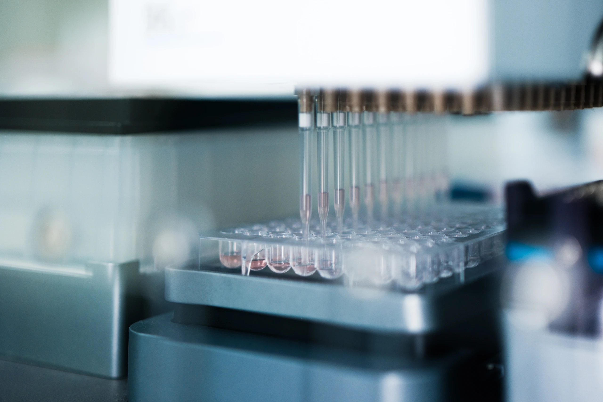 Close up laboratory pipette array above sample plate