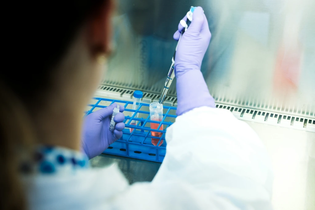 Scientist pipetting biological samples inside safety cabinet