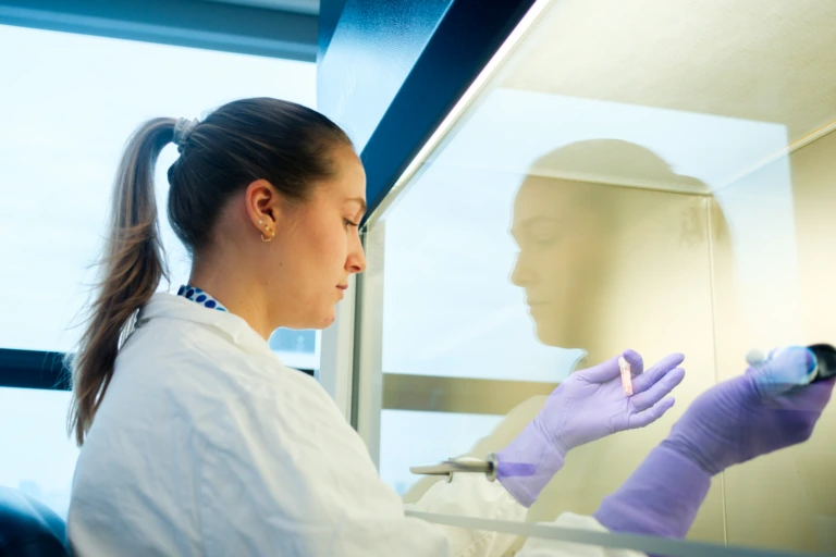 Scientist preparing laboratory samples at sterile workstation