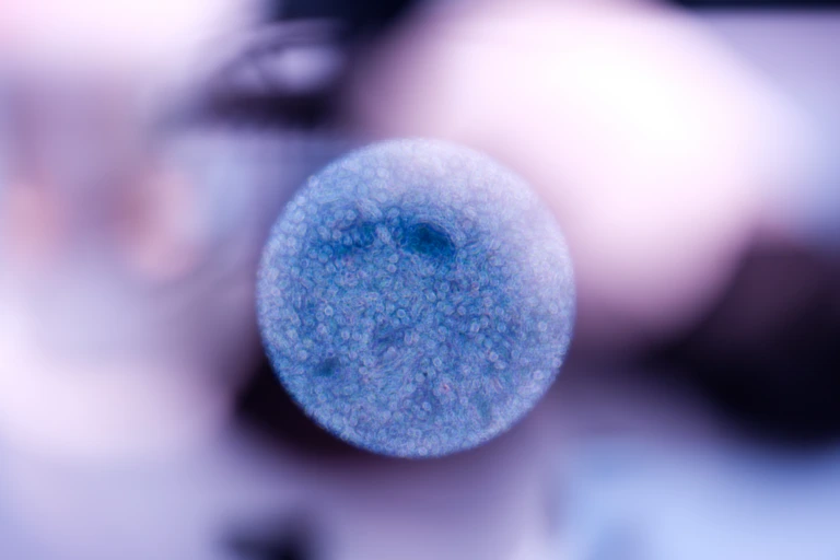 Abstract microscope view of biological cell sample