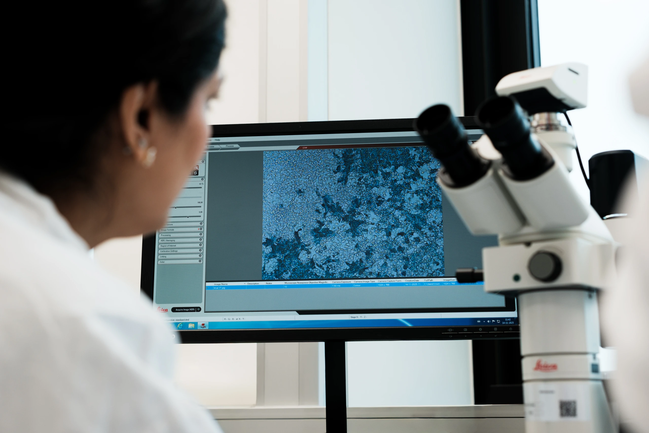 Scientist viewing microscope imaging results on monitor