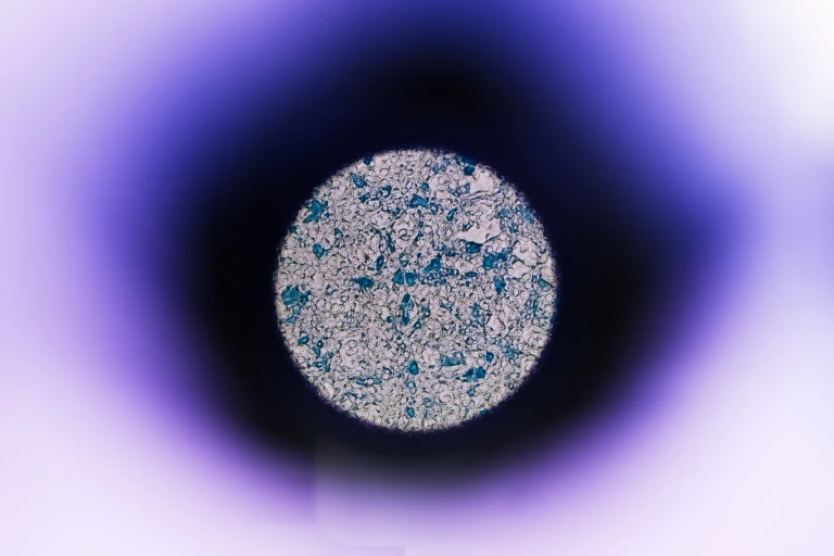 Abstract microscope imaging view of biological sample