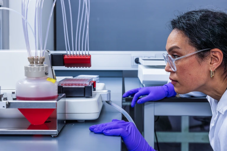 Medium shot of two scientists collaborating at laboratory bench