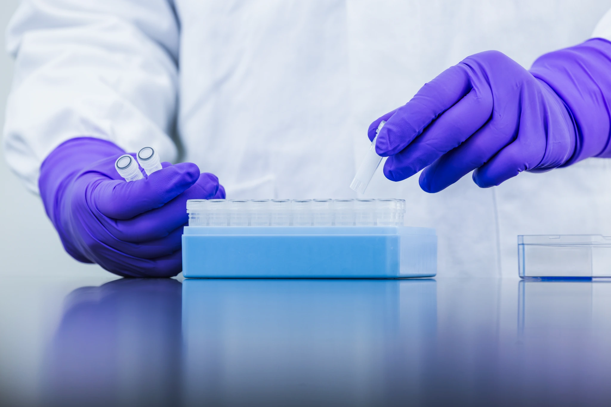 Close up of purple-gloved hands holding blue laboratory container