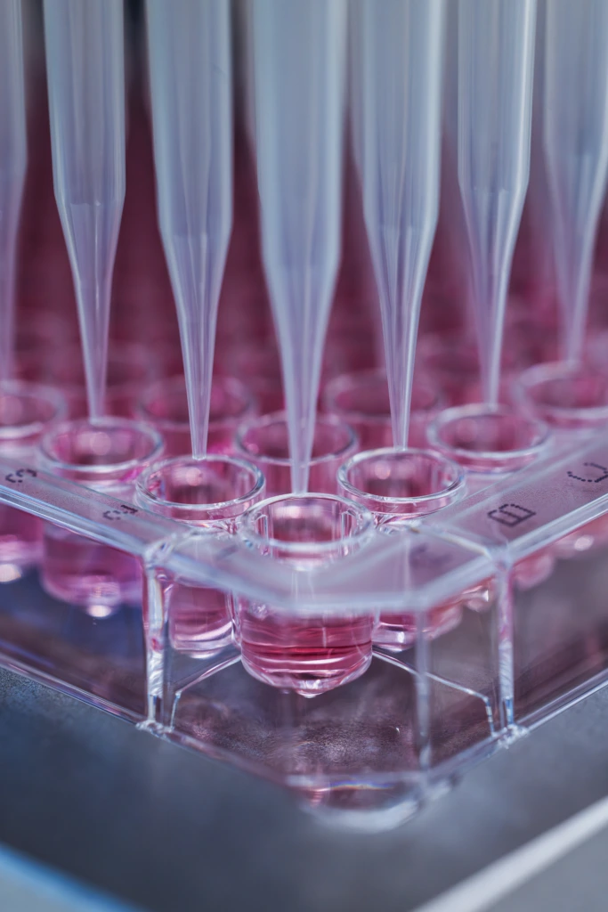 Close up of multichannel pipette tips above a transparent well plate