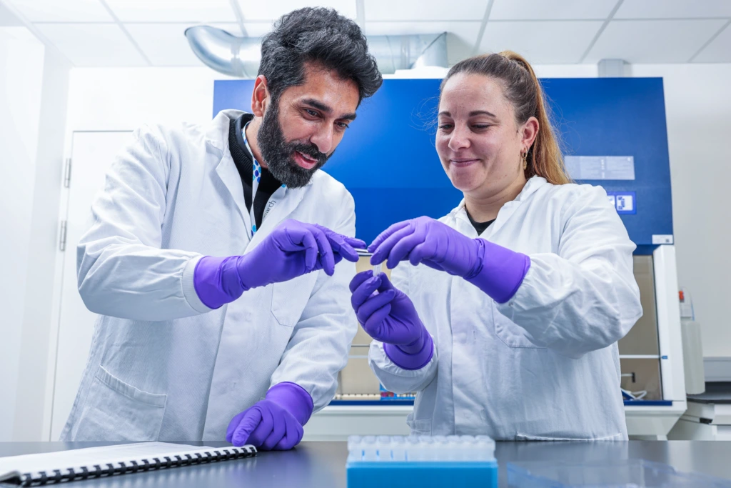 Medium shot of two scientists working together at laboratory bench