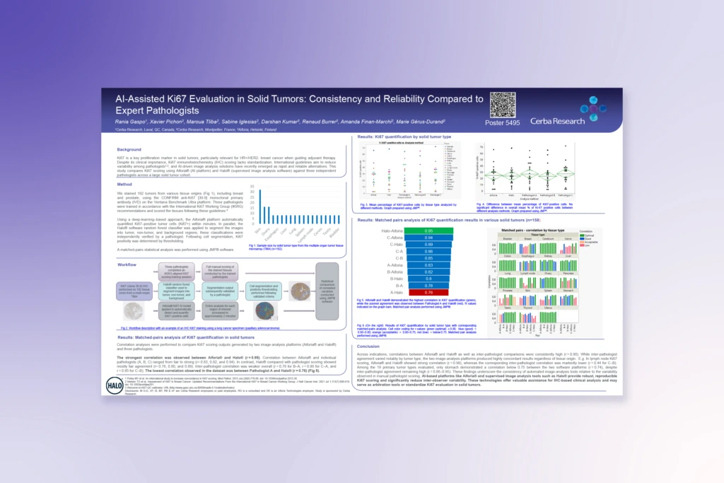 AI-Assisted Ki-67 Assessment in Solid Tumors