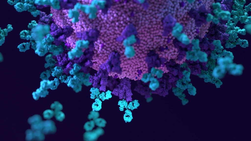 Antibodies,Work,To,Neutralize,Sars-cov-2,By,Binding,To,The,S