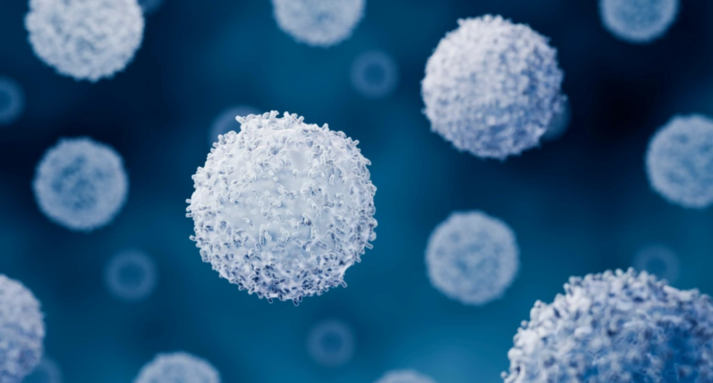 Lymphocytes,Such,As,T,Cells,,B,Cells,Are,Part,Of
