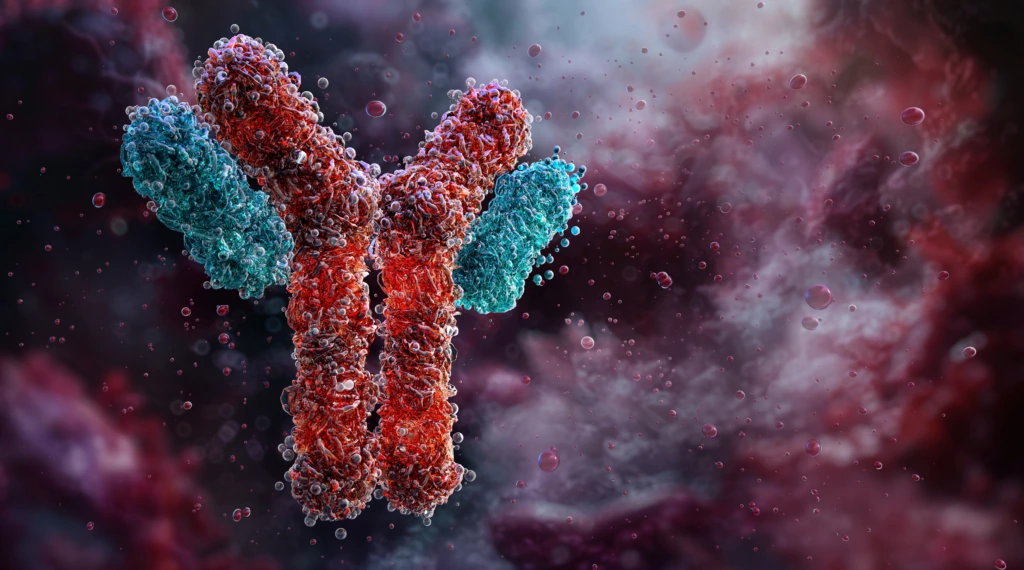 Antibody,,Immunoglobulin,Molecule,,Y-shaped,Structure,With,Antigen-binding,Sites.,Immunology,,Immune